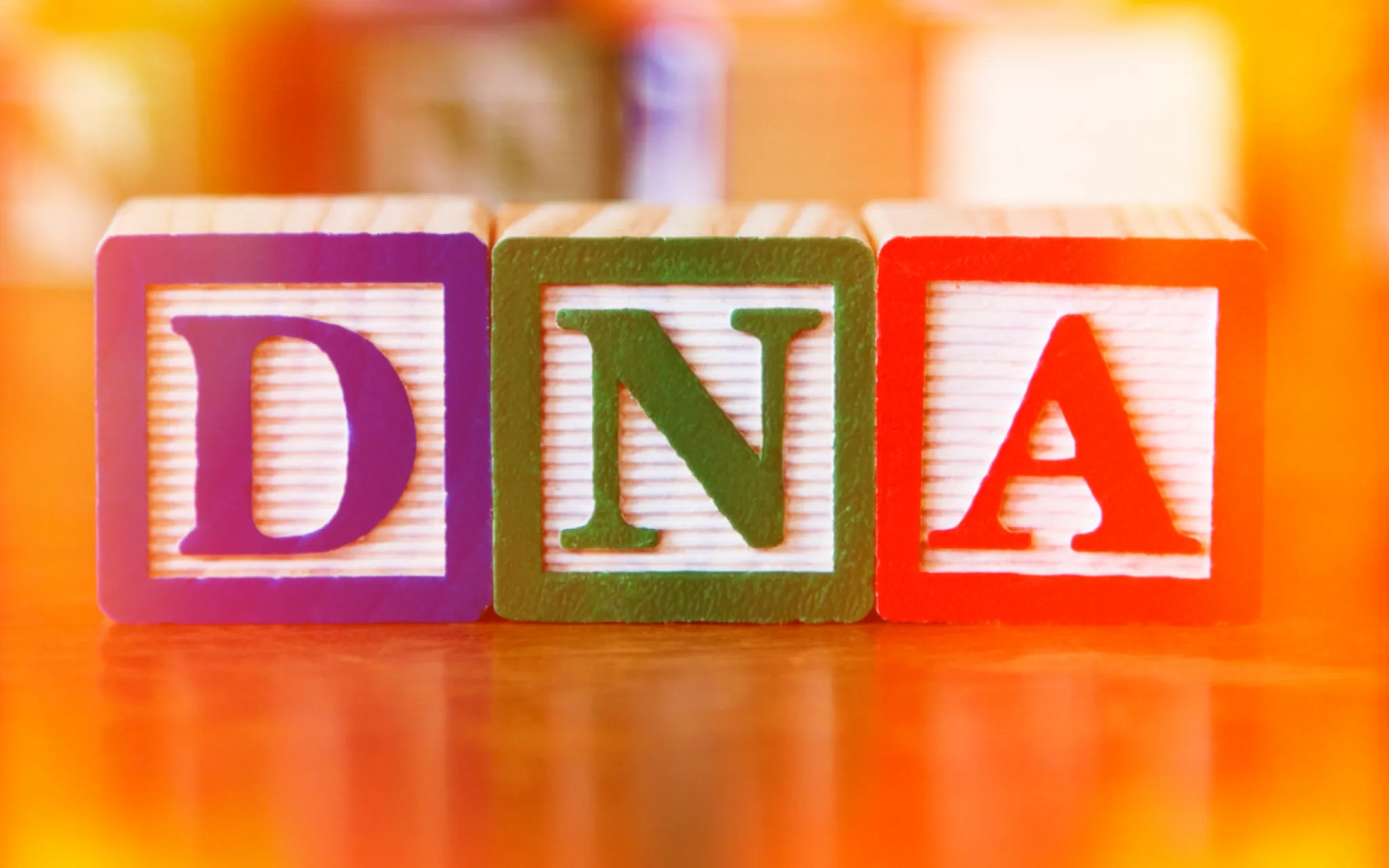 DNA - Cubes de couleur © MCCAIG/Canva Cubes colorés portant des lettres, formant le mot « DNA » (ADN en anglais).