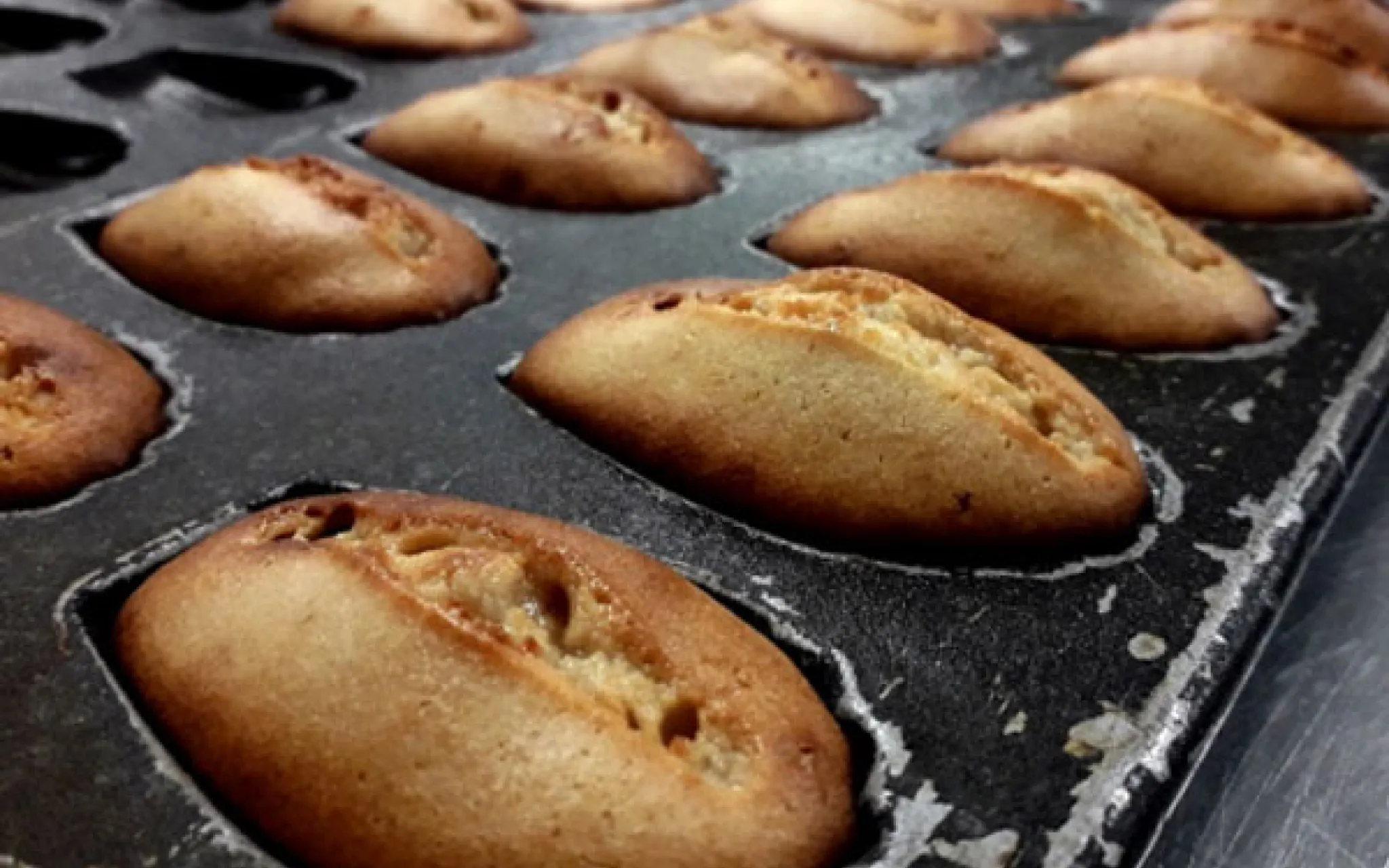 Madeleines dans leur moule.