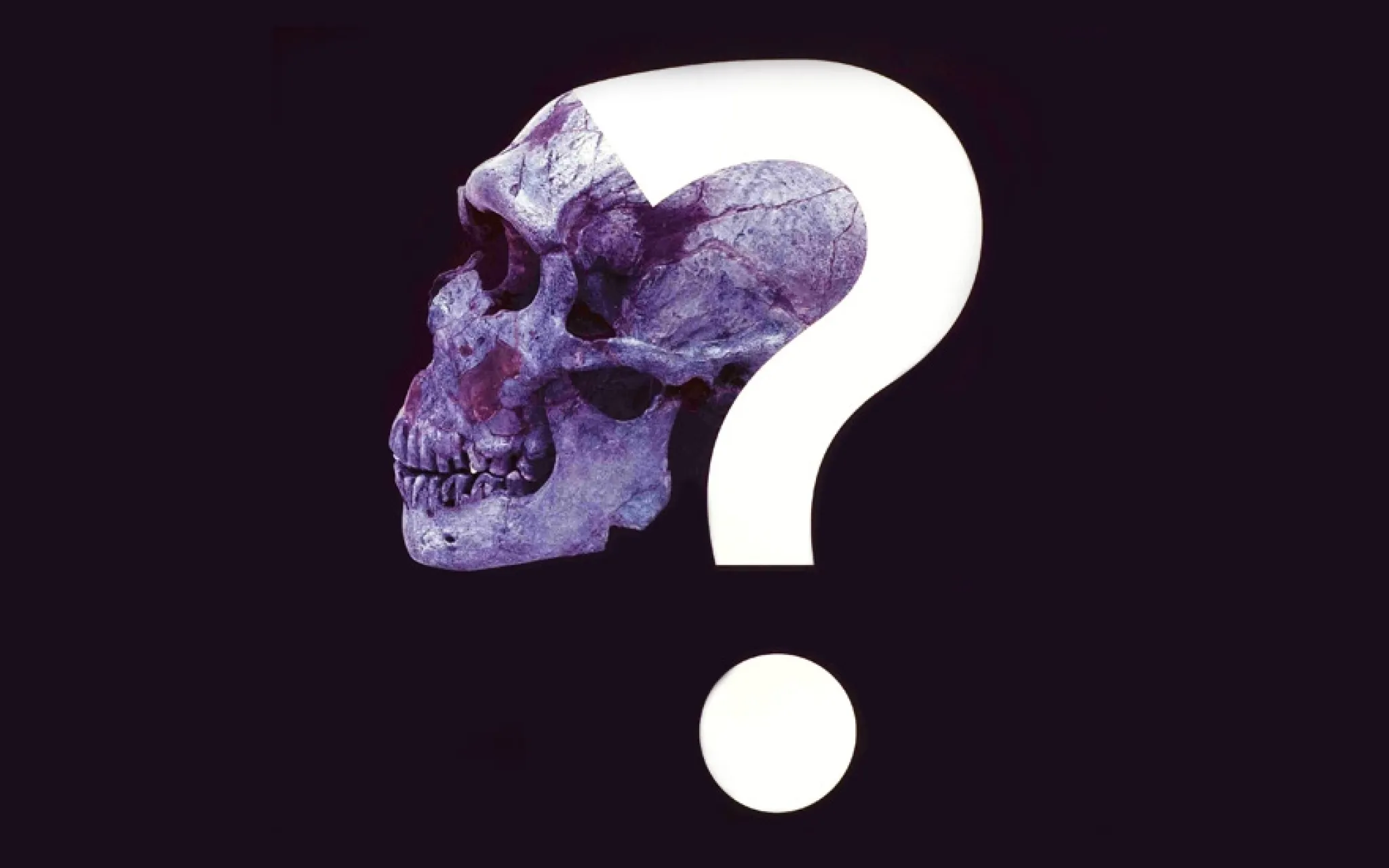 Visuel de l'exposition « Neandertal, hypothèses d'une disparition », présentant un crâne de néandertalien de profil.