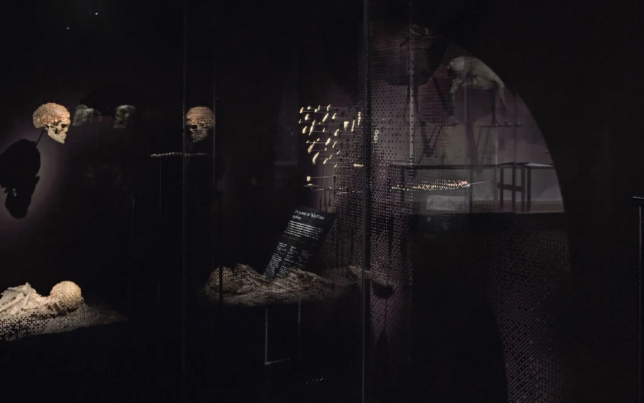 La Galerie de l'Homme - Partie 2 - L'abri des ancêtres © MNHN - J.-C. Domenech
