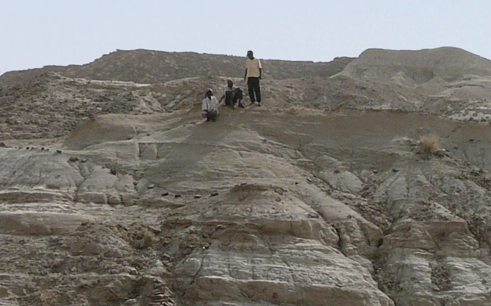 Le site Homo de Buia où ont été découvertes les deux incisives permanentes UA 222 et UA 369 © C. Zanolli Le site Homo de Buia où ont été découvertes les deux incisives permanentes UA 222 et UA 369