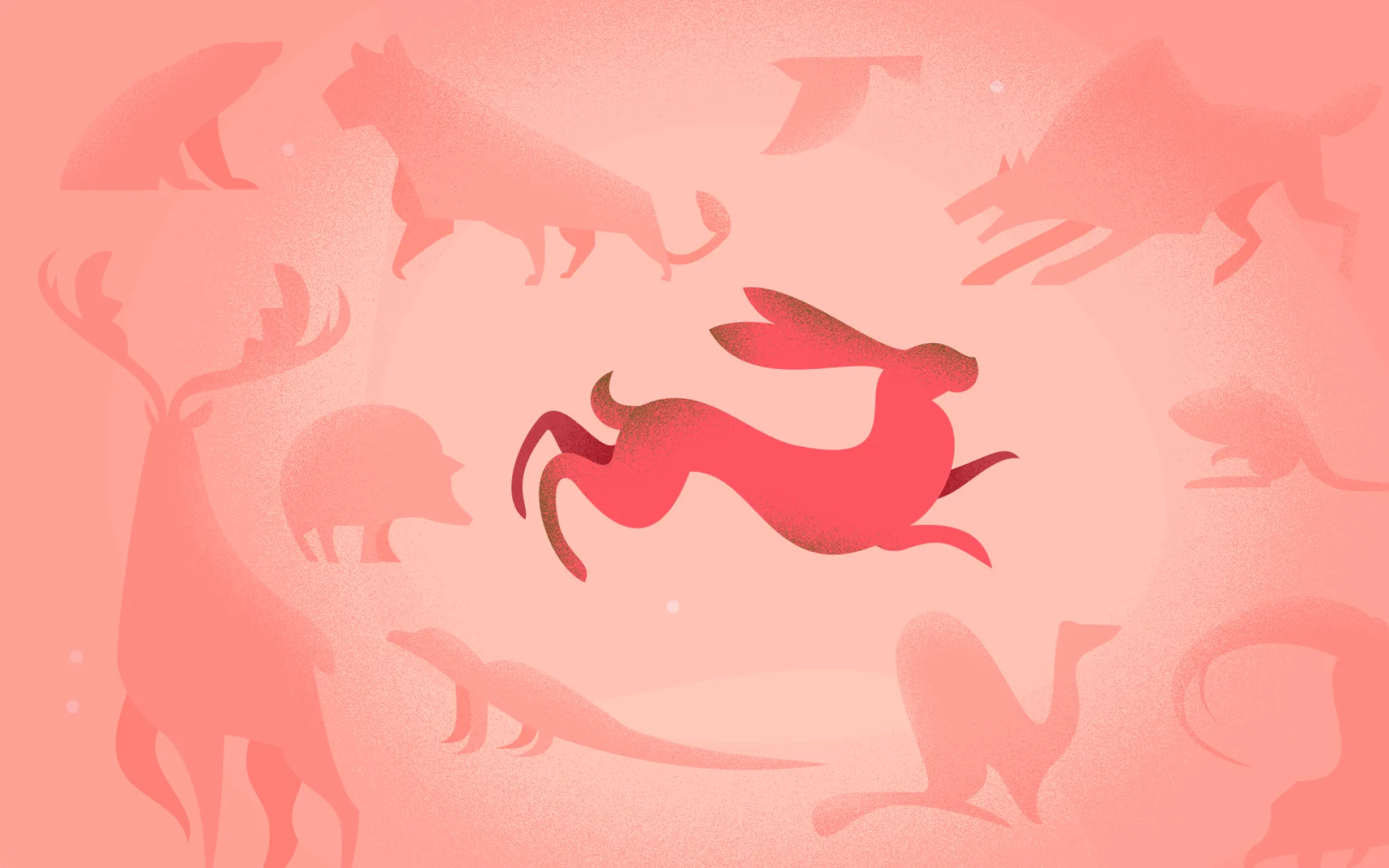 Web-série Humains et autres animaux