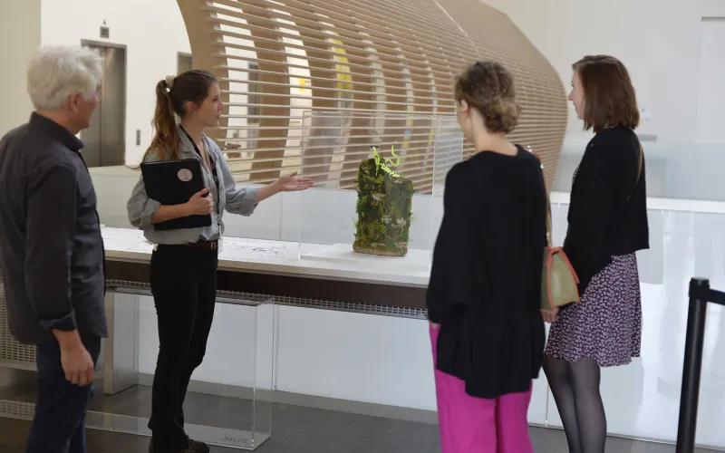 Photo d'une guide montrant à trois personnes une basket sous une vitrine de l'exposition « Sneakers »