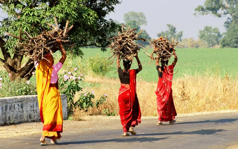 Trois femmes vêtues de sari coloré transportent des fagots de bois sur leur tête 