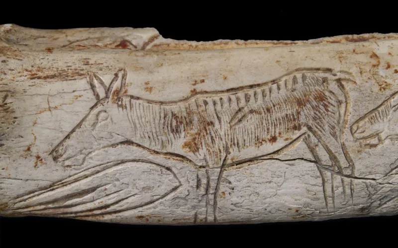 Biche gravée de la grotte du Chaffaud