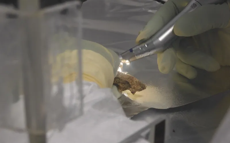Analyse d'un fossile