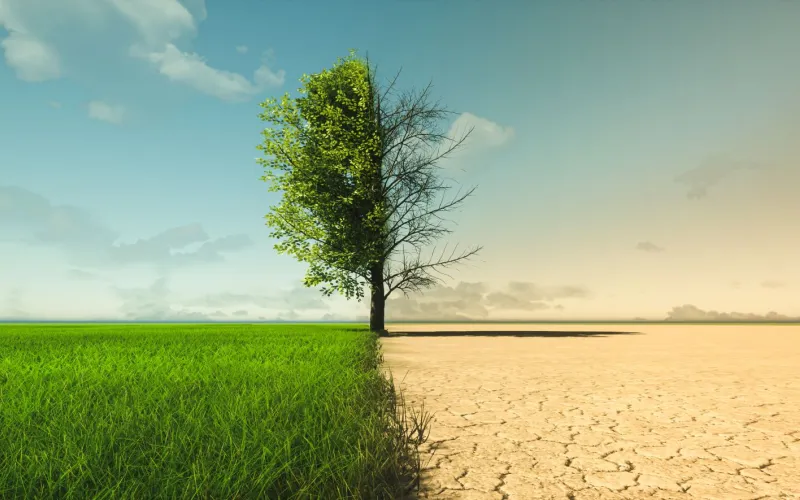 Changement climatique