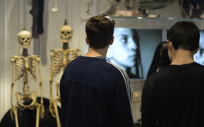 Photo de deux jeunes visiteurs de dos, devant des squelettes au Musée de l'Homme