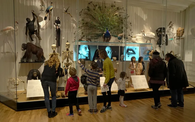 Visiteurs adultes et enfants qui regardent les vitrines dans la Galerie de l'Homme du Musée de l'Homme