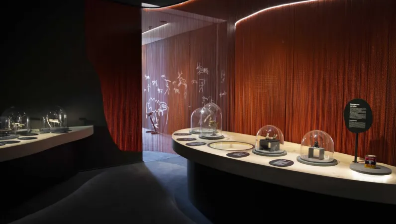 Vitrines de l'exposition Je mange donc je suis.