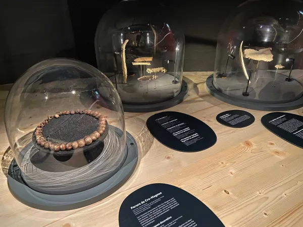 Objets dans l'exposition Je mange donc je suis