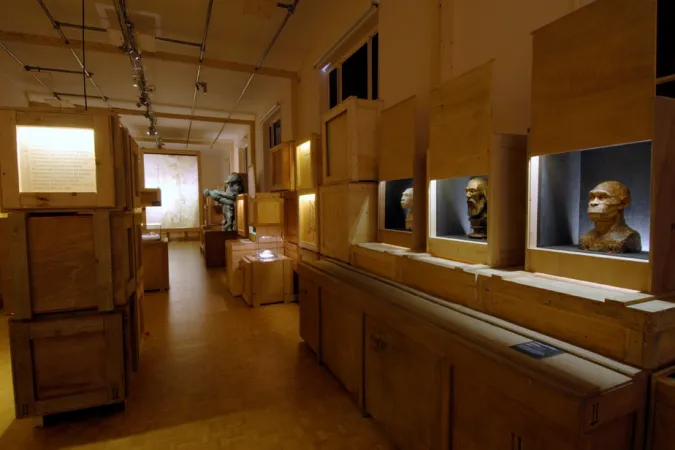 Bustes dans l'exposition « La Saga de l'Homme ».