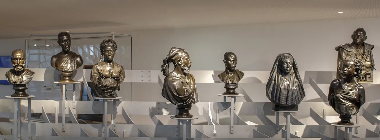 Groupe de bustes exposés dans la Galerie de l'Homme