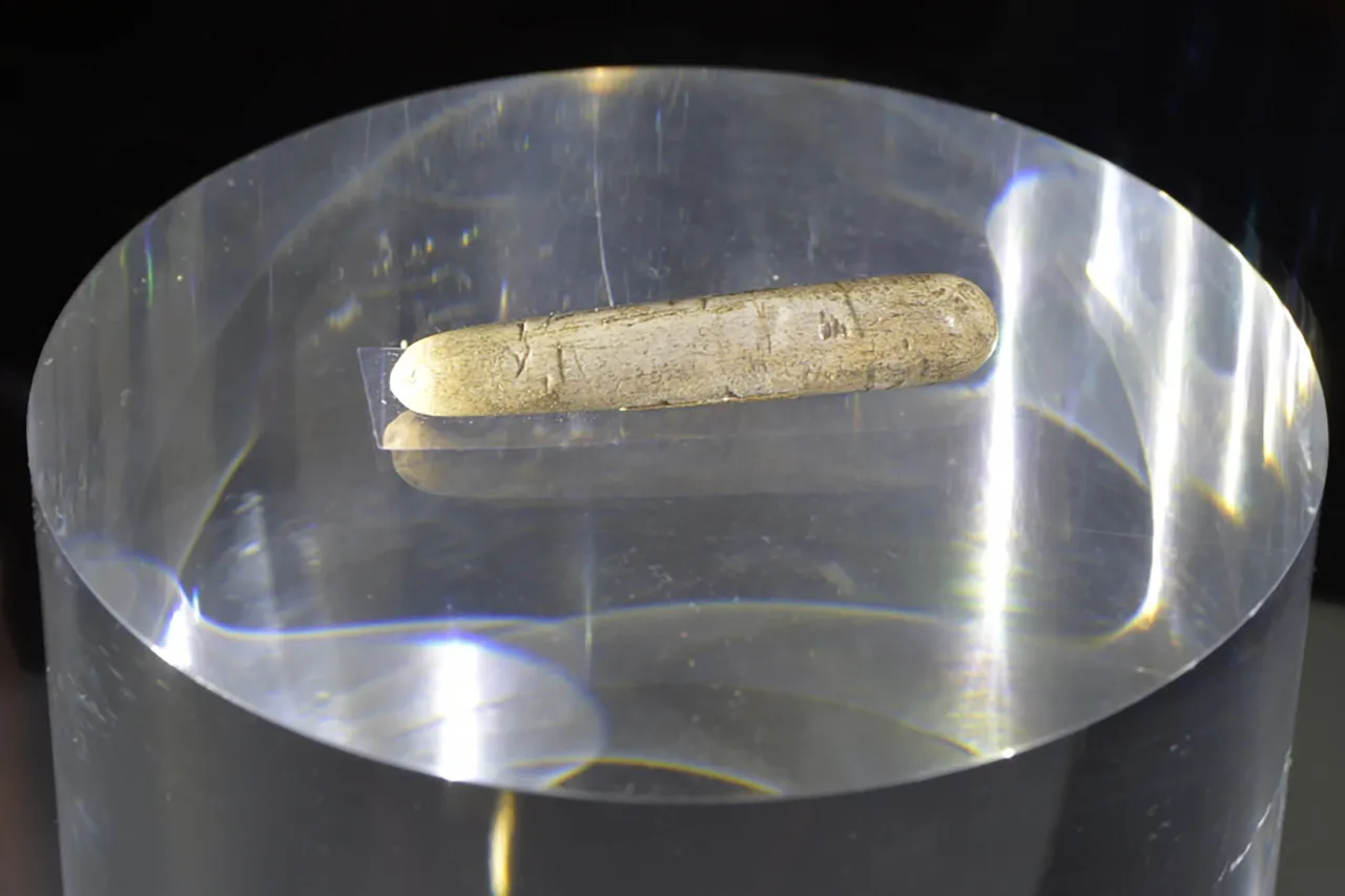 Photo d'un bois de cervidé, datant d'il y a 14 000 ans environ