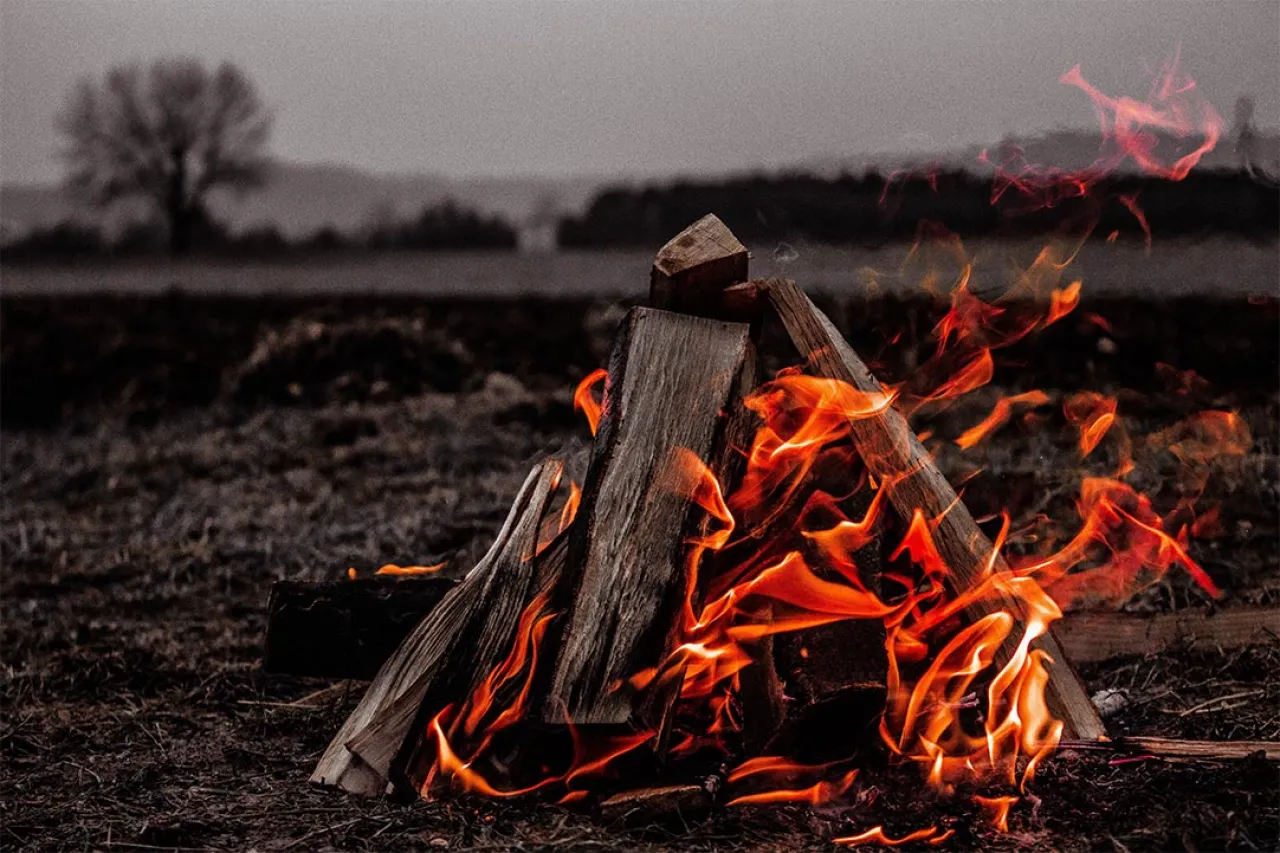 Feu de bois