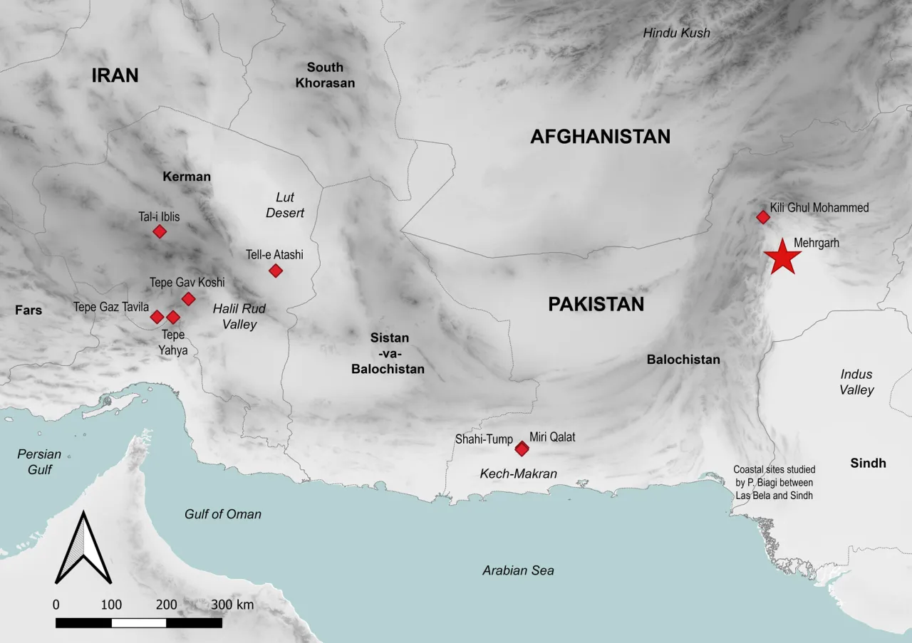 Carte montrant la localisation du site archéologique de Mehrgarh au Pakistan et des autres sites mentionnés dans l'article New radiocarbon dates of human tooth enamel reveal a late appearance of farming life in the indus Valley. Sci Rep 15, 11345 (2025).