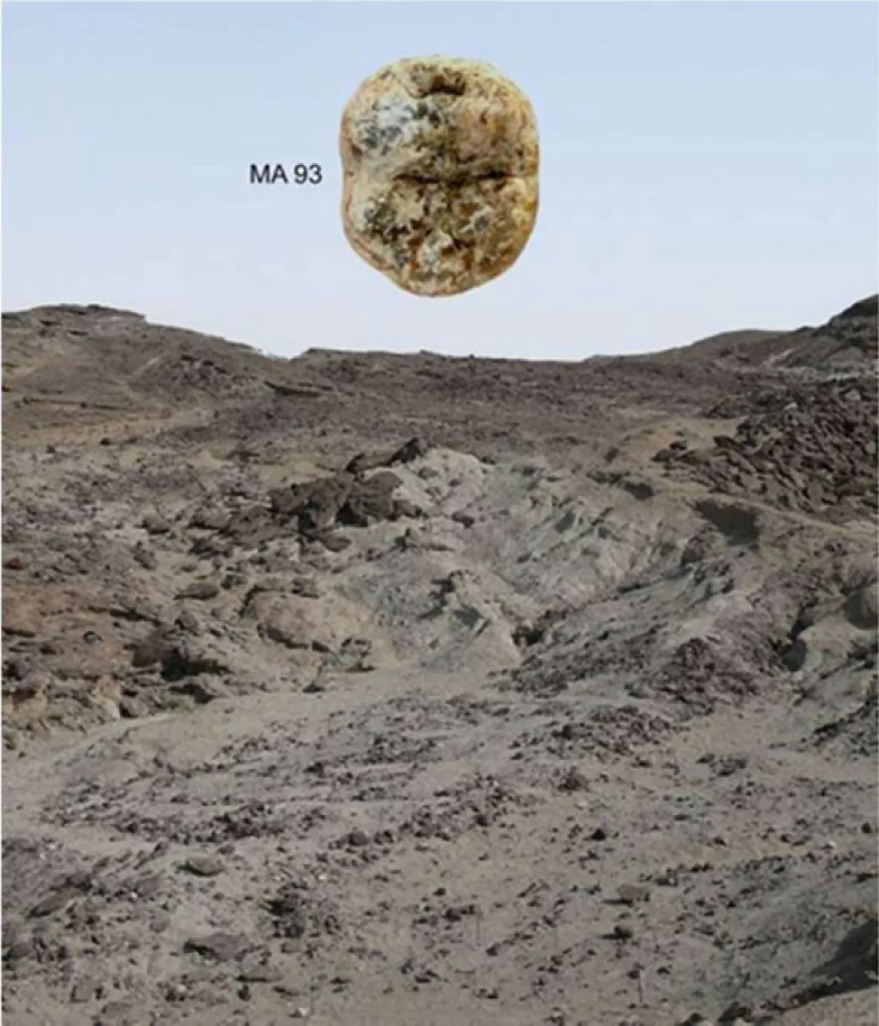 Le site de Mulhuli-Amo où a été trouvée la molaire inférieure permanentes MA 93