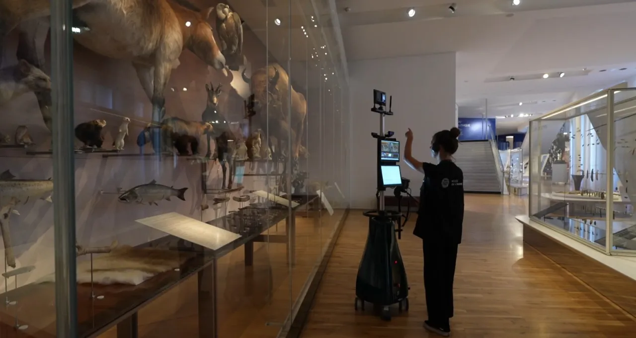 Visite à distance au Musée de l'Homme