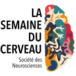 La semaine du cerveau