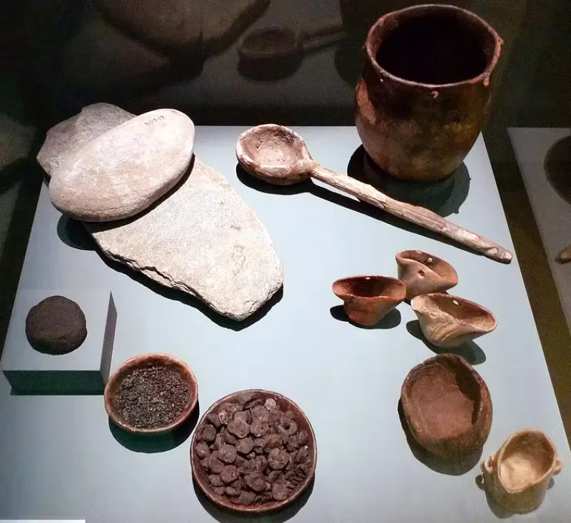 Photo d'éléments de cuisine du Néolithique