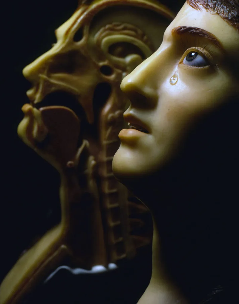 Femme à la larme, cire anatomique au Musée de l’Homme