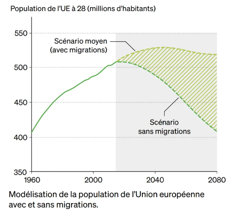 Modélisation population européenne