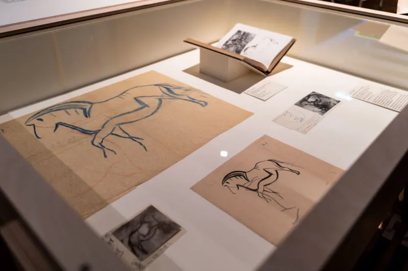Coulisses de l'exposition Préhistomania - Le cheval piaffant, calque de Breuil